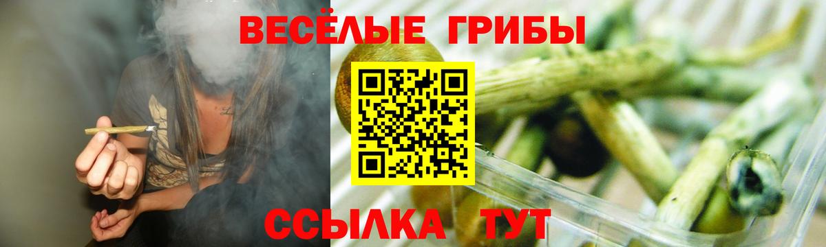 Галлюциногенные грибы Psilocybine cubensis  Вход с VPN  купить наркотики сайты  Рассказово 